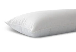 Das Nachhaltige Kopfkissen -Bettwäsche Verkauf dixxius comfort green hoofdkussen 40x80 3 1 1