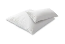 Das Nachhaltige Kopfkissen -Bettwäsche Verkauf dixxius comfort green hoofdkussen 40x80 80x80 2