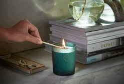 Duftkerze Moments Forest Breeze